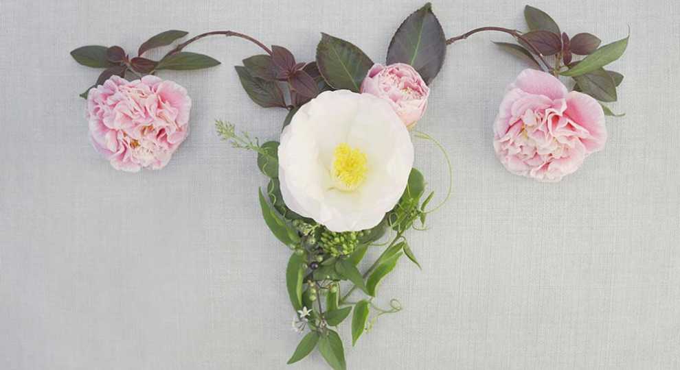 Что такое рак шейки матки? Симптомы Лечение