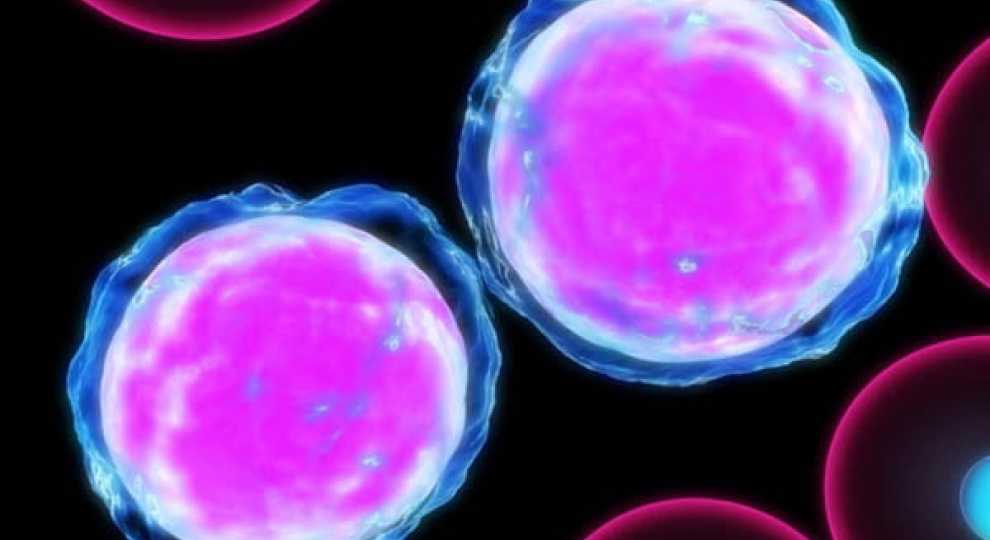 Эффективное лечение рака крови без химиотерапии